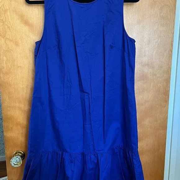 Royal Blue Cotton Sheath Dress // J. Crew Size L - Picture 5 of 5